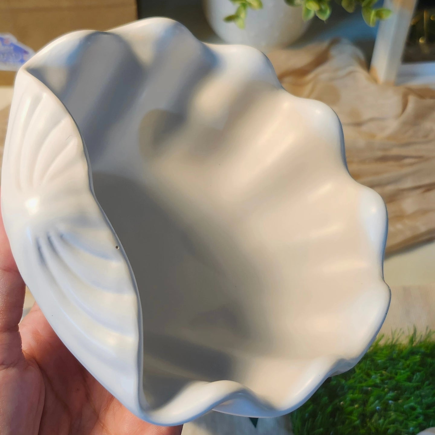 Sea shell tray